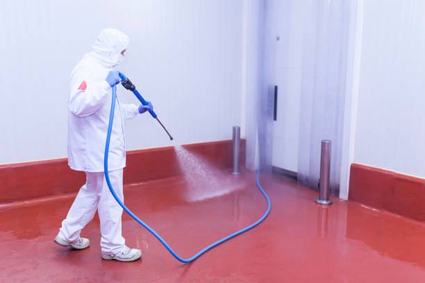Trusted Minier, IL Pressure Washing Experts