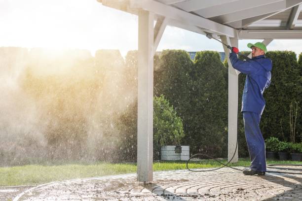 Best Spring Cleaning  in Minier, IL