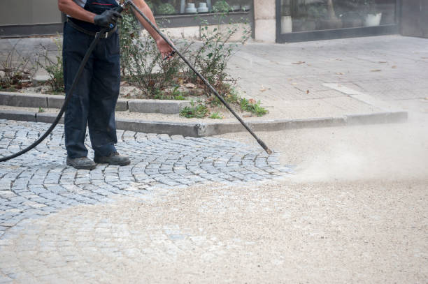 Best Winterizing Services  in Minier, IL