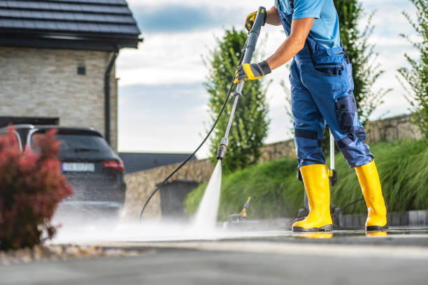 Animal Enclosure Cleaning in Minier, IL